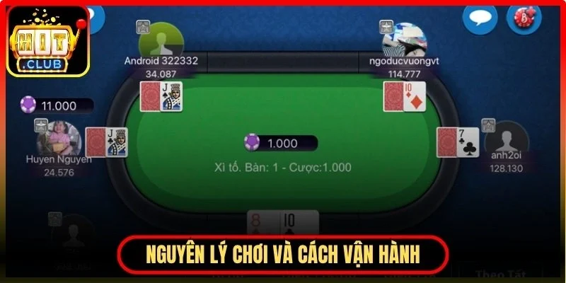 Chi tiết nguyên lý chơi và cách vận hành trong xì tố