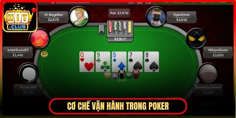 Thực tế bàn chơi và cơ chế vận hành trong poker